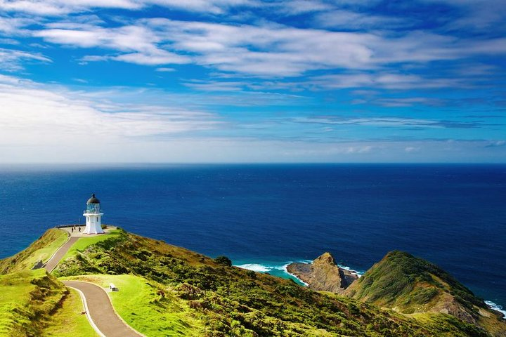 Experience stunning coastal views and lush landscapes at Cape Reinga the northernmost point of New Zealand where land meets sea in a breathtaking display of nature's beauty.